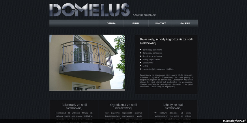 ppu-domelus-slawomir-druzbicki